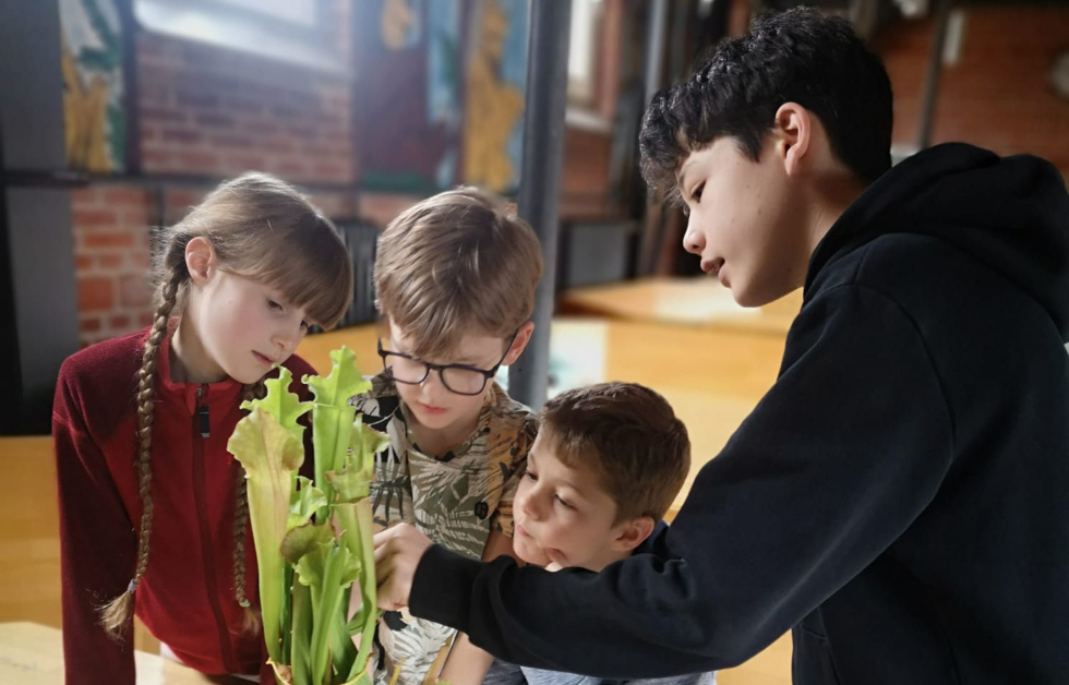 Junge zeit Grundschulkindern Pflanze